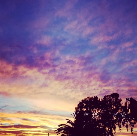 Meet your Posher, Cherie - Picture 5 of 5